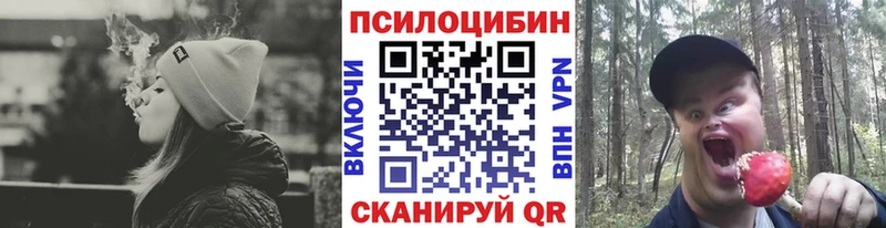 Галлюциногенные грибы GOLDEN TEACHER  Сердобск 