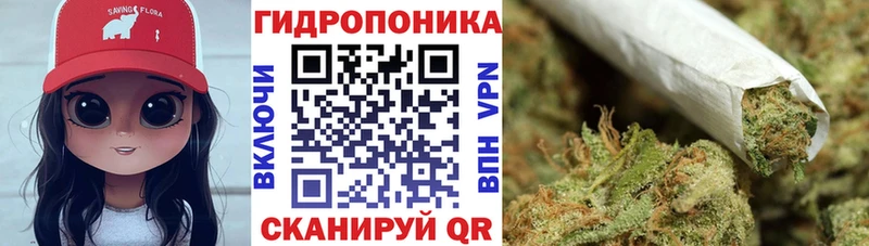 купить наркотик  кракен зеркало  Конопля AK-47  сайты даркнета как зайти  Сердобск 